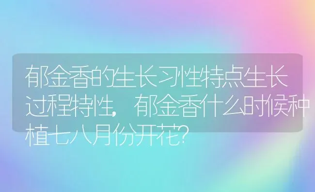 郁金香的生长习性特点生长过程特性,郁金香什么时候种植七八月份开花？ | 养殖科普