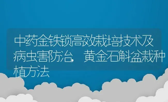 中药金铁锁高效栽培技术及病虫害防治,黄金石斛盆栽种植方法 | 养殖学堂