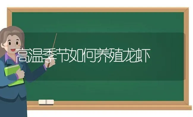 高温季节如何养殖龙虾 | 养殖知识