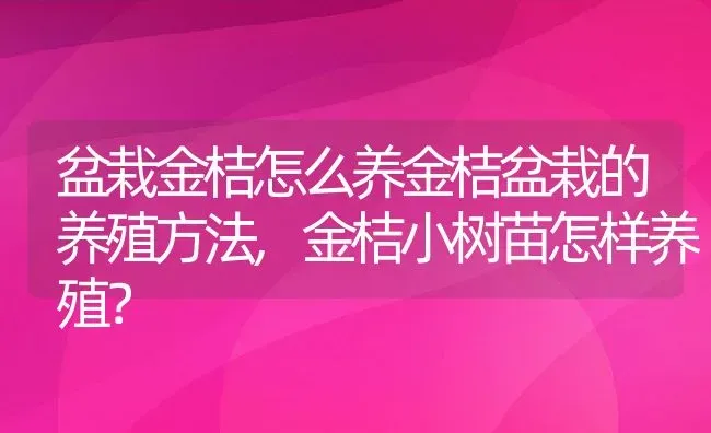 盆栽金桔怎么养金桔盆栽的养殖方法,金桔小树苗怎样养殖？ | 养殖科普