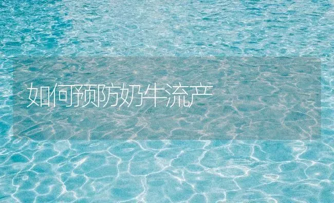 如何预防奶牛流产 | 养殖技术大全