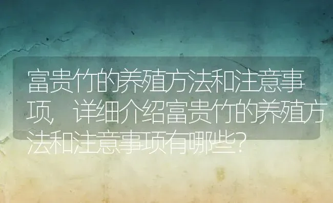 富贵竹的养殖方法和注意事项,详细介绍富贵竹的养殖方法和注意事项有哪些？ | 养殖学堂
