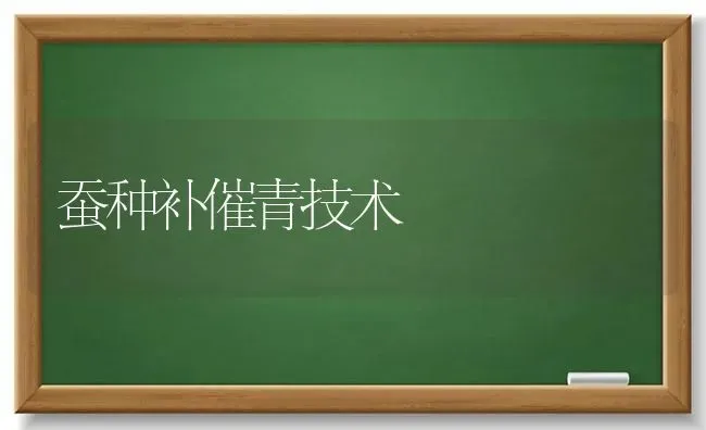 蚕种补催青技术 | 养殖知识