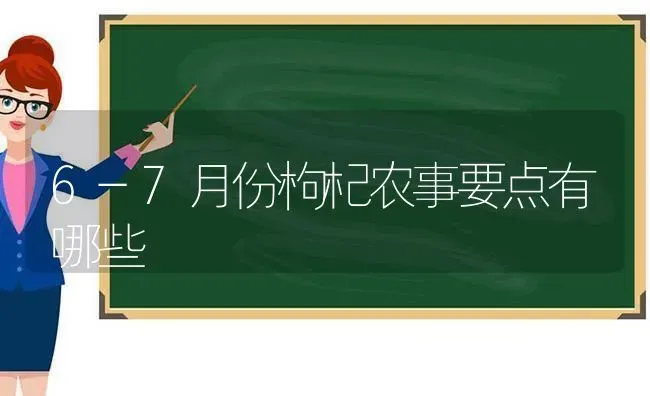 6-7月份枸杞农事要点有哪些 | 养殖知识