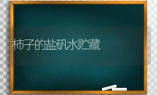 柿子的盐矾水贮藏 | 养殖技术大全