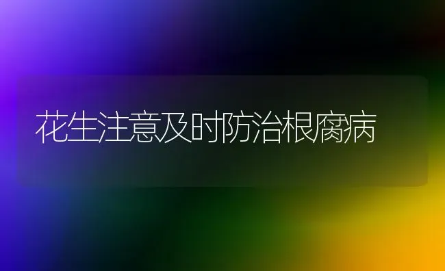 花生注意及时防治根腐病 | 养殖知识