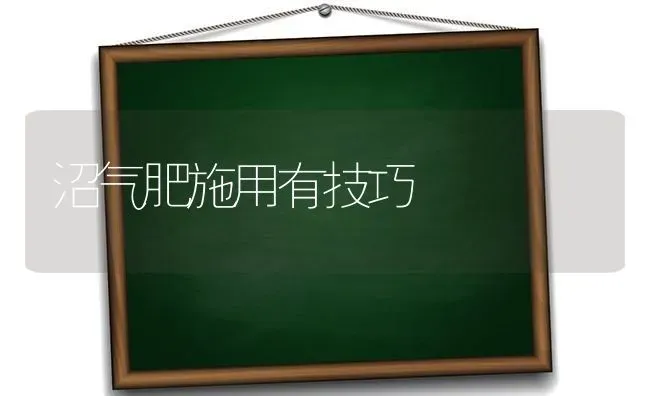 沼气肥施用有技巧 | 养殖知识