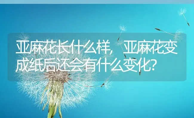 亚麻花长什么样,亚麻花变成纸后还会有什么变化？ | 养殖科普