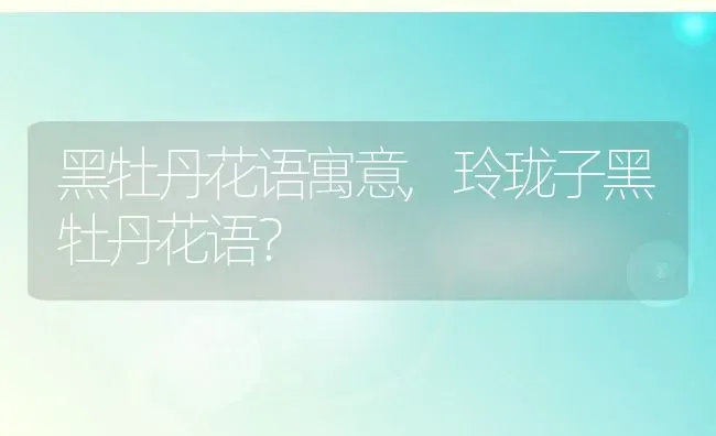 黑牡丹花语寓意,玲珑子黑牡丹花语？ | 养殖科普