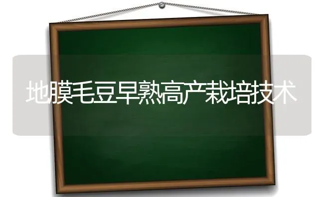 地膜毛豆早熟高产栽培技术 | 养殖知识