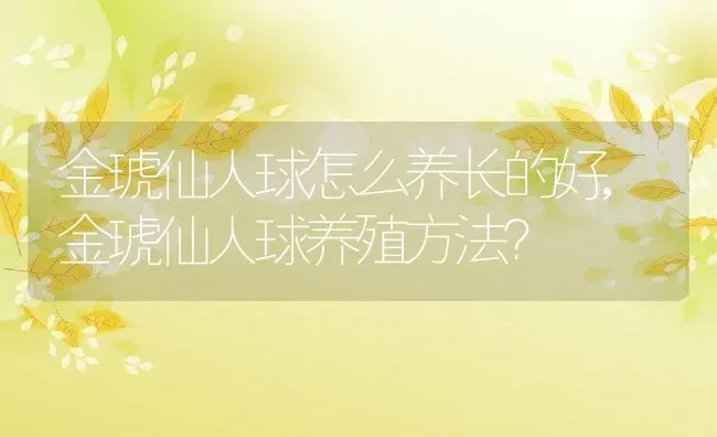 金琥仙人球怎么养长的好,金琥仙人球养殖方法？ | 养殖科普