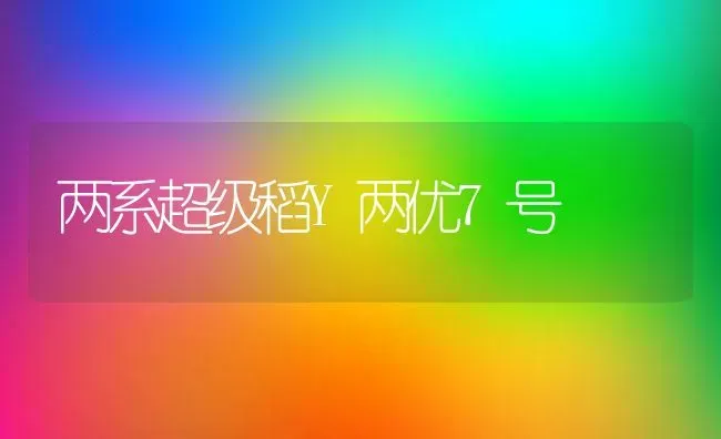 两系超级稻Y两优7号 | 养殖知识