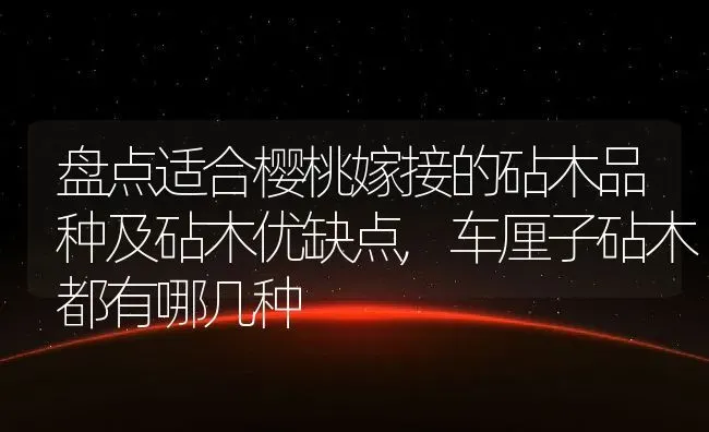 盘点适合樱桃嫁接的砧木品种及砧木优缺点,车厘子砧木都有哪几种 | 养殖学堂