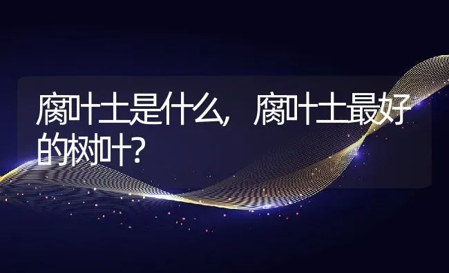 腐叶土是什么,腐叶土最好的树叶？ | 养殖科普