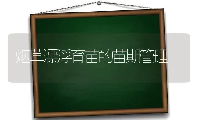 烟草漂浮育苗的苗期管理 | 养殖知识