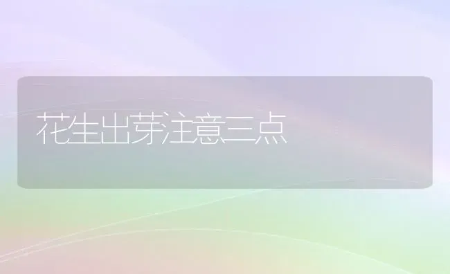 花生出芽注意三点 | 养殖技术大全