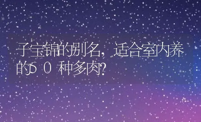 子宝锦的别名,适合室内养的50种多肉？ | 养殖科普