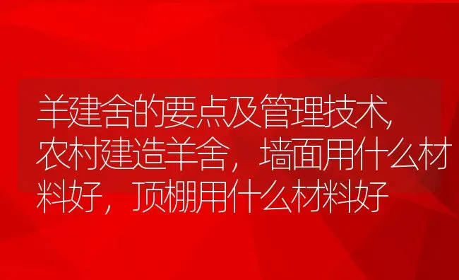 羊建舍的要点及管理技术,农村建造羊舍，墙面用什么材料好，顶棚用什么材料好 | 养殖学堂