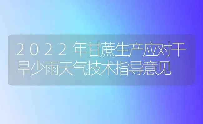 2022年甘蔗生产应对干旱少雨天气技术指导意见 | 养殖技术大全