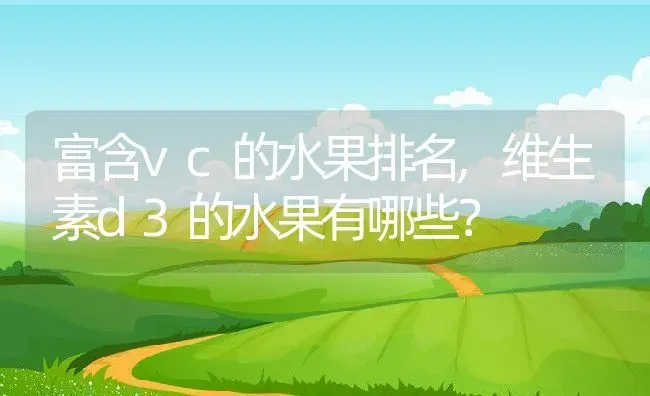 富含vc的水果排名,维生素d3的水果有哪些？ | 养殖科普