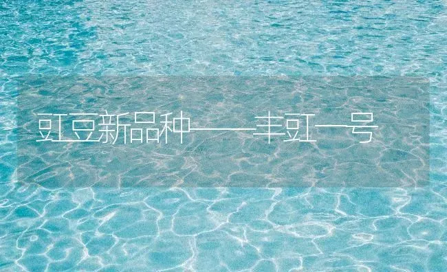 豇豆新品种——丰豇一号 | 养殖技术大全