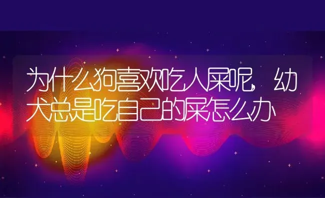 为什么狗喜欢吃人屎呢,幼犬总是吃自己的屎怎么办 | 养殖科普