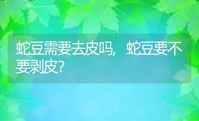 蛇豆需要去皮吗,蛇豆要不要剥皮？ | 养殖科普