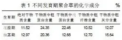 聚合草适宜推广的因素 | 常识大全