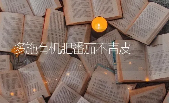 多施有机肥番茄不青皮 | 养殖技术大全