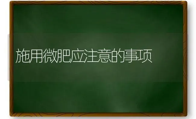 施用微肥应注意的事项 | 养殖知识