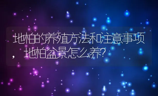 地柏的养殖方法和注意事项,地柏盆景怎么养？ | 养殖科普