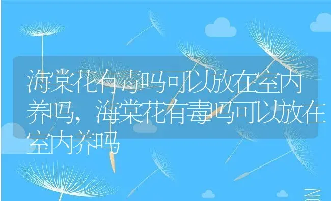 海棠花有毒吗可以放在室内养吗,海棠花有毒吗可以放在室内养吗 | 养殖科普