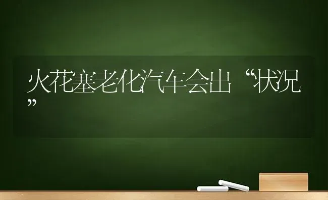 火花塞老化汽车会出“状况” | 养殖知识