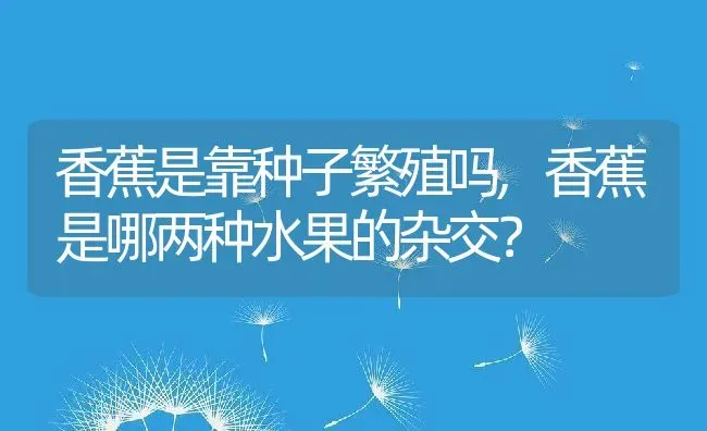 香蕉是靠种子繁殖吗,香蕉是哪两种水果的杂交？ | 养殖科普