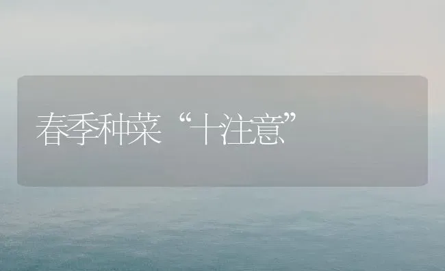 莴苣新品种---无锡香莴苣 | 养殖技术大全