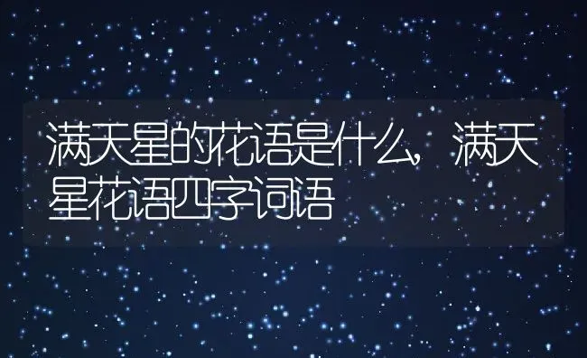 满天星的花语是什么,满天星花语四字词语 | 养殖学堂