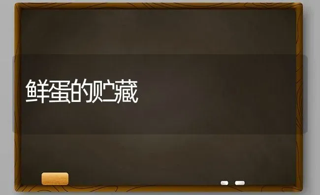 鲜蛋的贮藏 | 养殖知识