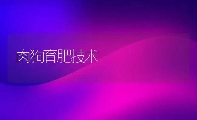 肉狗育肥技术 | 养殖技术大全