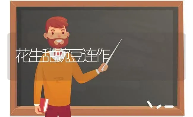 花生甜豌豆连作 | 养殖知识