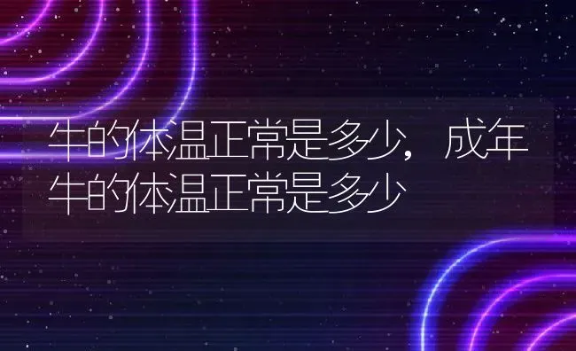 牛的体温正常是多少,成年牛的体温正常是多少 | 养殖科普