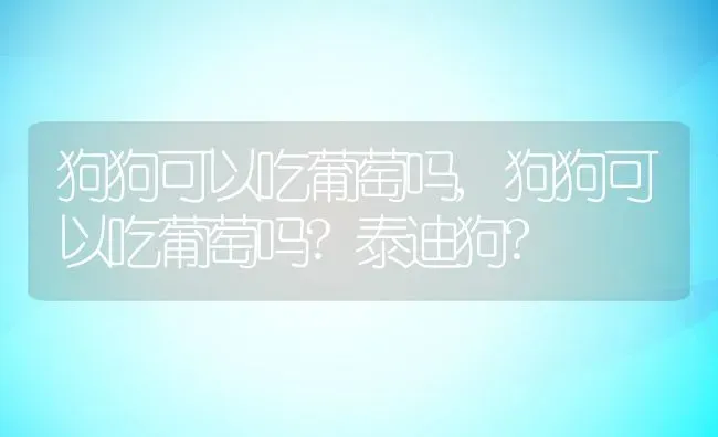 三千克等于多少斤,七十三千克等于多少斤 | 养殖资料