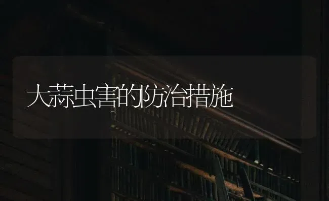 大蒜虫害的防治措施 | 养殖知识