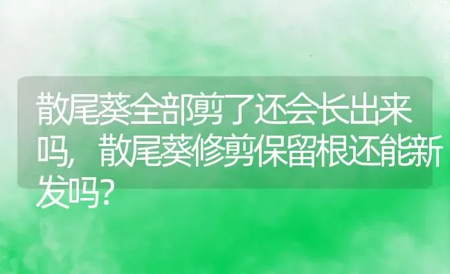 散尾葵全部剪了还会长出来吗,散尾葵修剪保留根还能新发吗？ | 养殖学堂