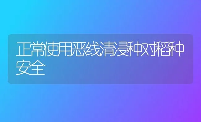 正常使用恶线清浸种对稻种安全 | 养殖知识