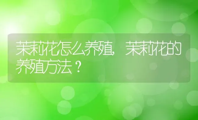 茉莉花怎么养殖,茉莉花的养殖方法？ | 养殖科普