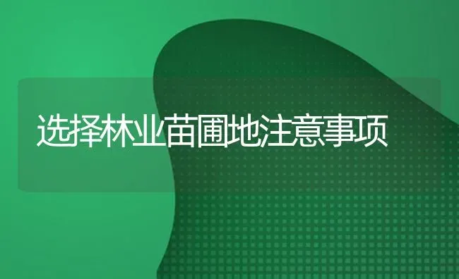 选择林业苗圃地注意事项 | 养殖技术大全