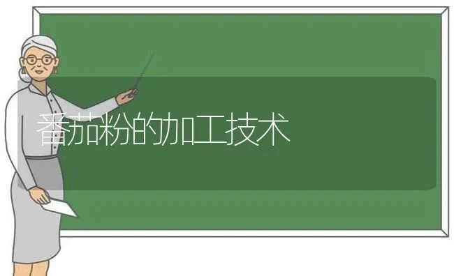 番茄粉的加工技术 | 养殖技术大全