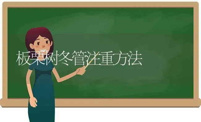 板栗树冬管注重方法 | 养殖技术大全