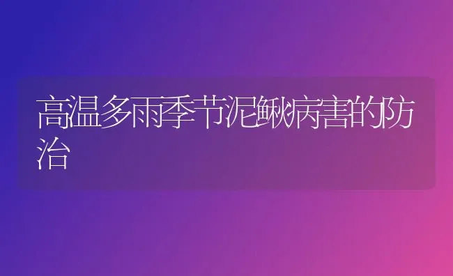 高温多雨季节泥鳅病害的防治 | 养殖知识