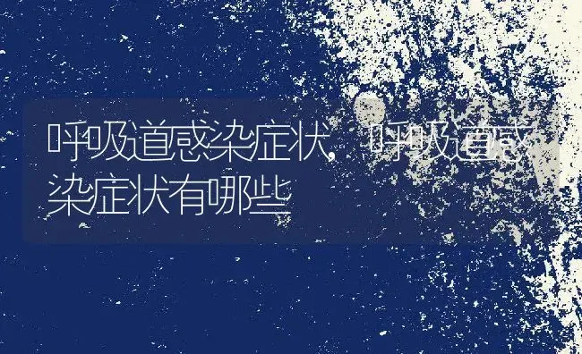 呼吸道感染症状,呼吸道感染症状有哪些 | 养殖学堂